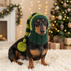 christmas costume miniature dachshund costumes