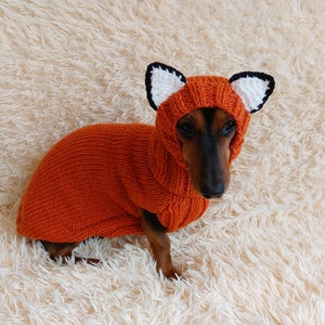 Fox Dog Costume sweater and hat: Knitted Pet Halloween Outfit dachshund warm wool set image 4