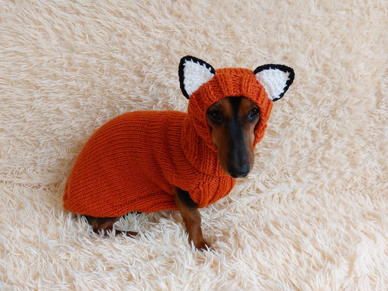 Fox Dog Costume sweater and hat: Knitted Pet Halloween Outfit dachshund warm wool set image 4