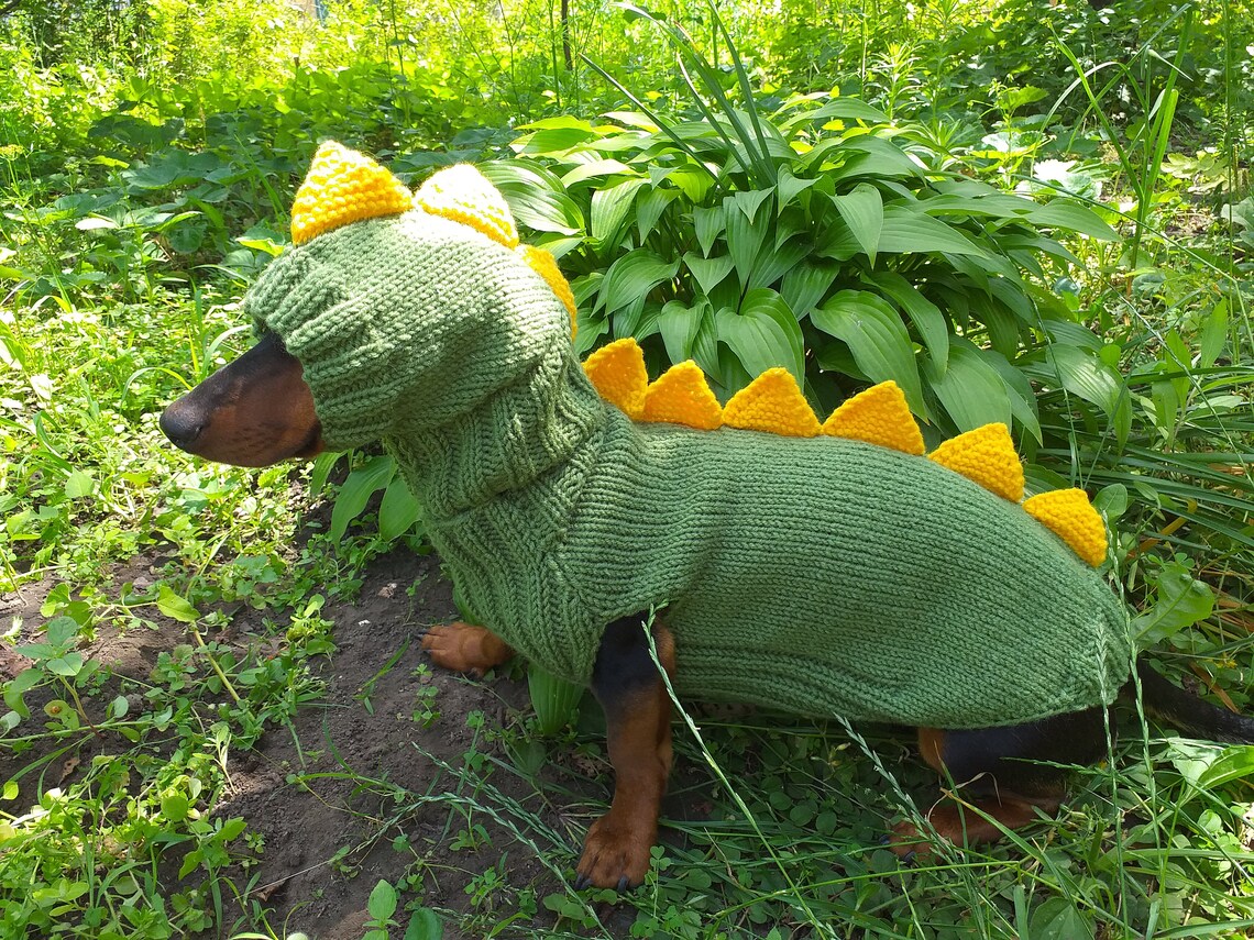 Dino Dog Cloches Dino Costume for Dogs Dachshund Dinosaur Etsy