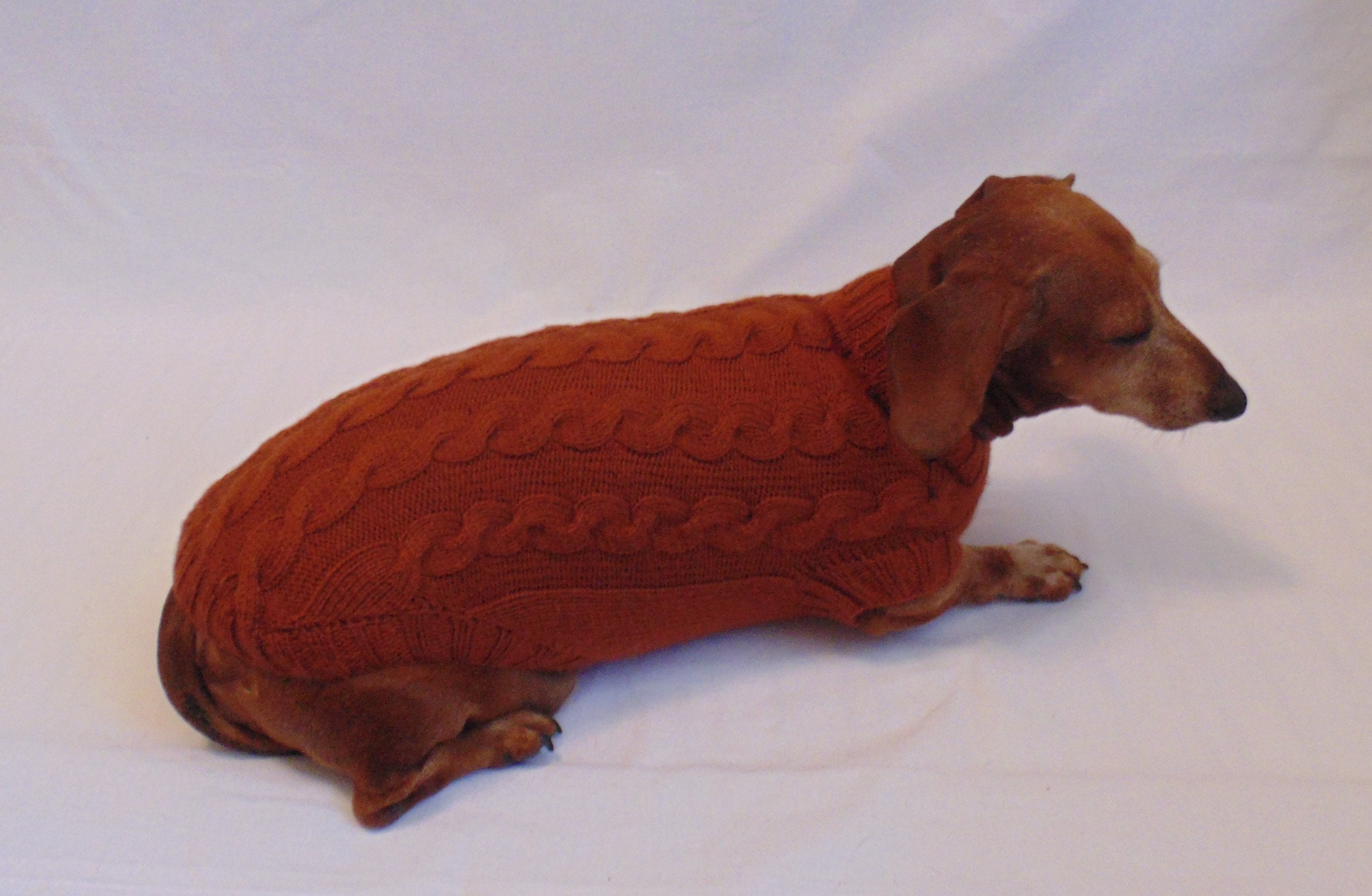 Brown knitted sweater for dachshund dogs clothes for Etsy
