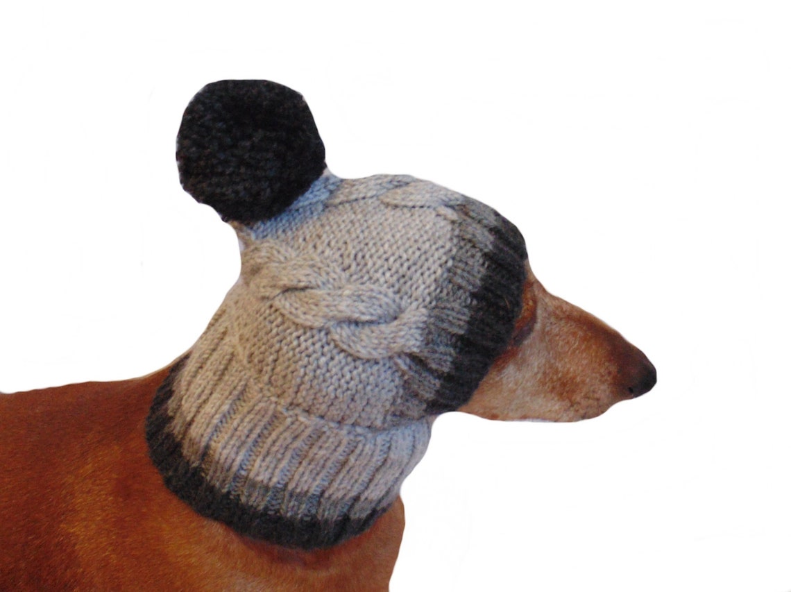 Winter knitted hat for small doghat for dogs pet clothes Etsy