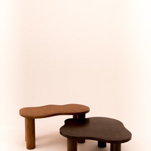May include: Two wooden coffee tables with irregular, organic shapes. The top table is brown and the bottom table is dark brown.