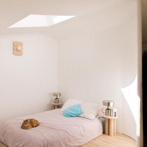 May include: A pink bed with a cat sleeping on it. There are two bedside tables with lamps on them. The room has a white ceiling with a skylight and white walls.