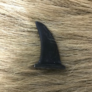 Canine claw small