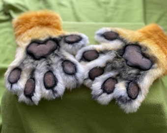 Paw gloves - Betrachten Sie dem Testsieger der Tester