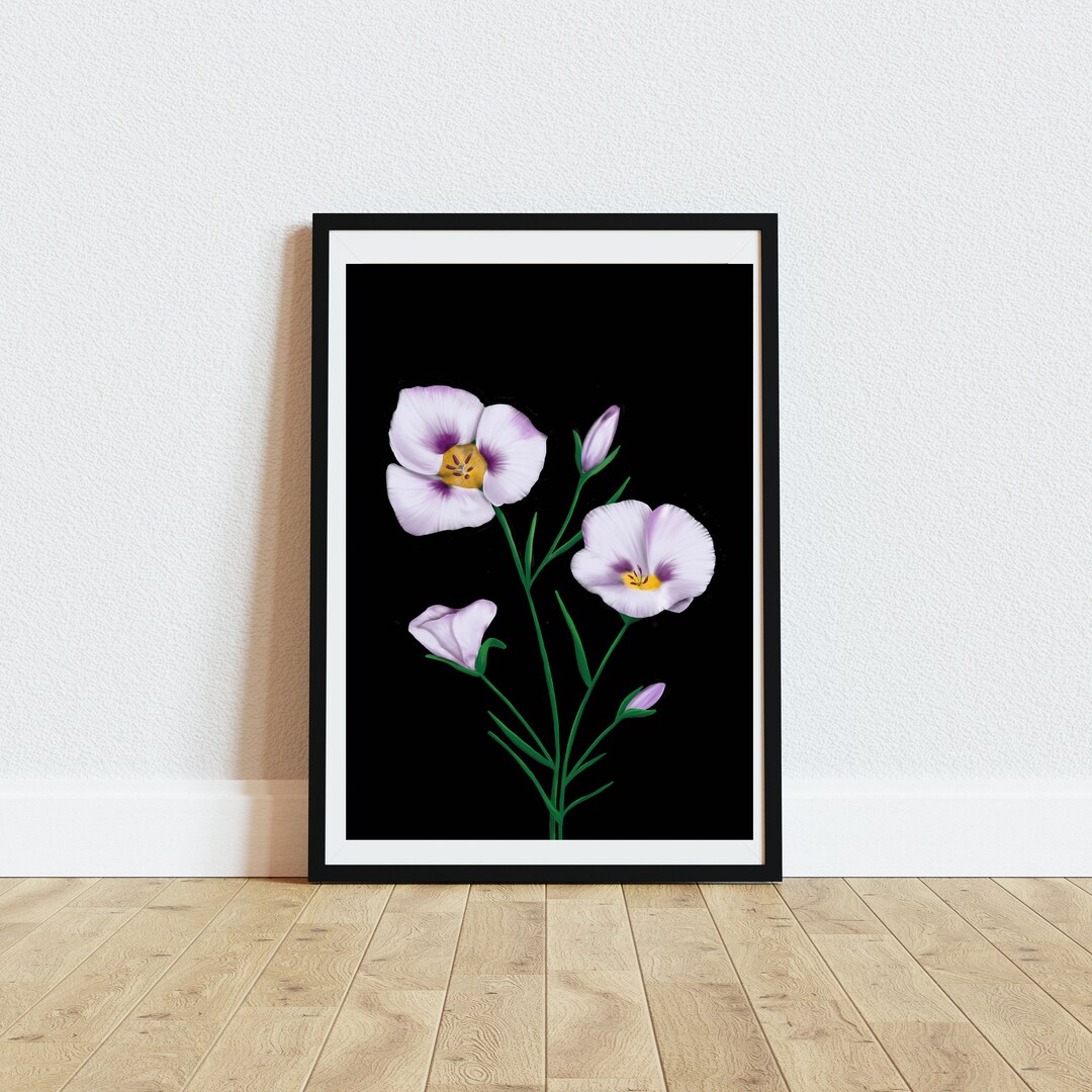 Wildflower Art Print - Mariposa Poppy - Etsy