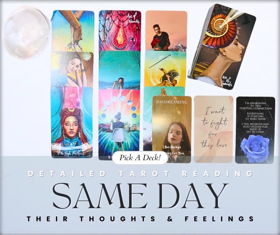 Same Day Their Current Thoughts & Feelings - Tarot Card Reading - 12 Card Spread - 24 Hour PDF Delivery - PICK A DECK!