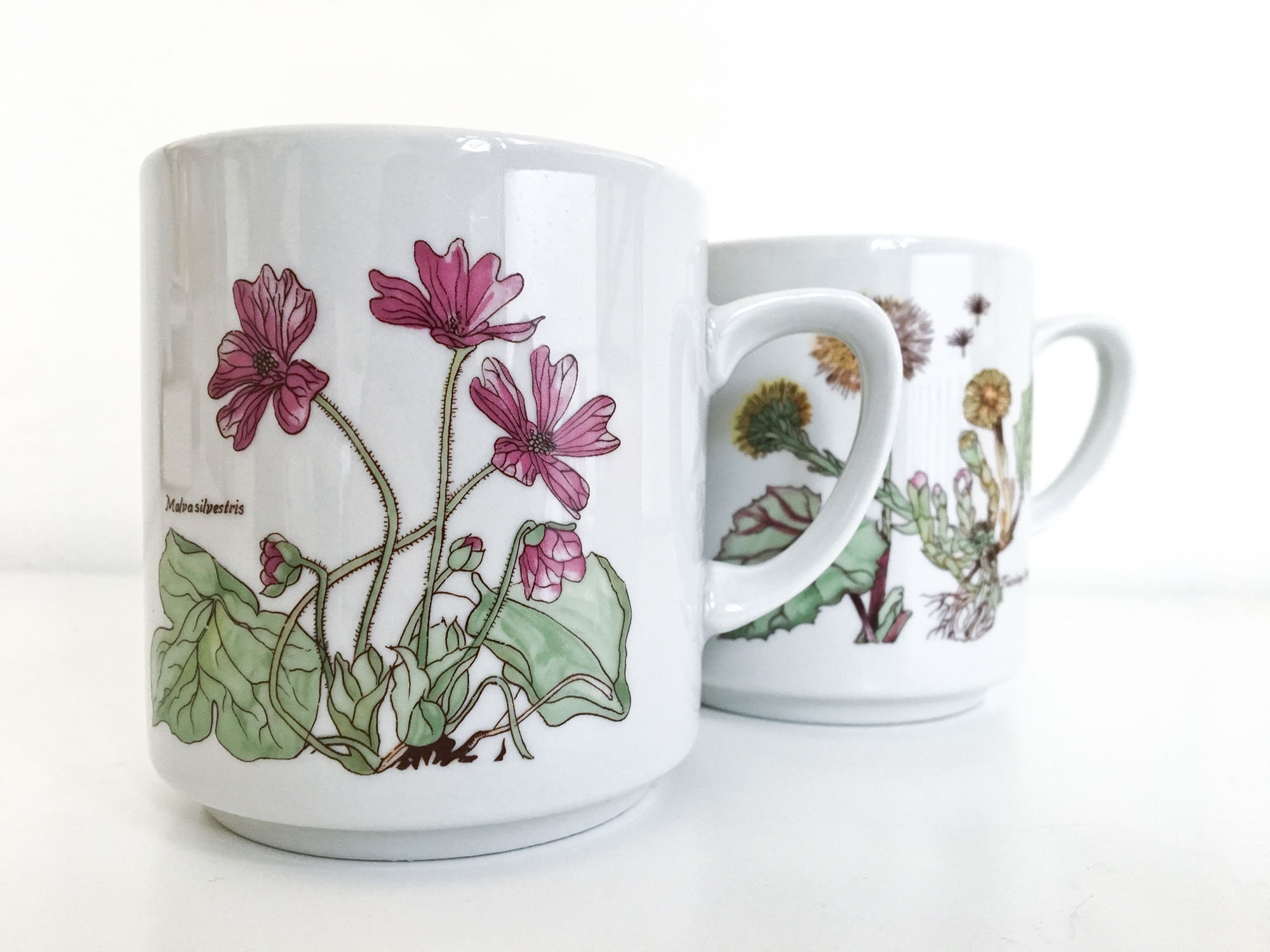 Monopoli, Ensemble de 2 Belles Tasses à Thé Botanique Vintage, Porcelaine avec Décor Botanique, Nom 