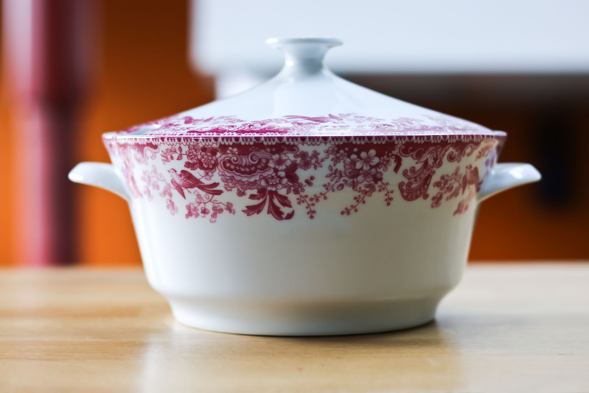 Bareuther Waldsassen, Tureen en Porcelaine Vintage Pour Le Service de La Soupe, Plat Service, Décor 