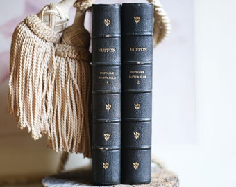 Collection of 2 french antique books, quarter bound in leather, brown hardcover, old books, natural sciences, Buffon - France 1850