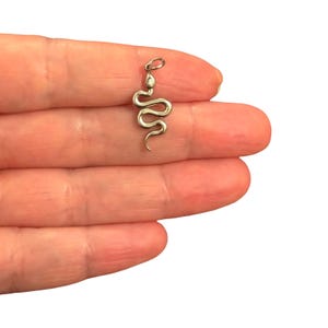 May include: A small, silver-toned metal pendant shaped like a coiled snake. The pendant features a smooth, polished surface and a small circular loop at the top for attachment. The snake design is depicted in a winding, S-shaped posture.