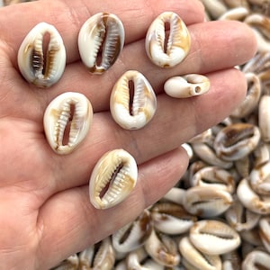May include: A selection of polished cowrie shells, predominantly white with brown and tan patterns. These natural shells have a smooth, glossy finish and a characteristic oval form with a central opening. Suitable for jewellery making or craft activities.