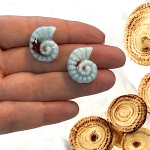 Handgemaakte keramische ammonietkralen – set van 2, lichtblauw