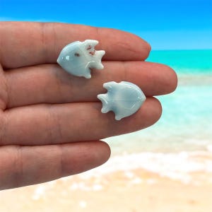 Könnte beinhalten: Zwei kleine, hellblaue, fischförmige Steine mit glänzender Oberfläche. Die Steine haben ein dezentes Muster und ein paar braune Flecken. Die Fische werden in einer Hand vor dem Hintergrund eines blauen Himmels und Ozeans gehalten.