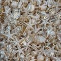 Assorted Pearl & Gold Acrylic Ocean Charms – 50g Pack (~100 pcs)
