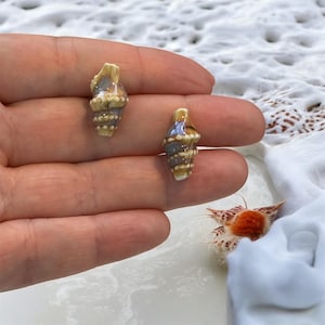 Op de afbeelding: Twee kleine keramische oorbellen in de vorm van een zeeschelp. De oorbellen zijn beige met bruine en blauwe accenten. Ze worden in een hand gehouden, met een witte achtergrond.