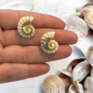 Handgemaakte keramische ammonietkralen – set van 2, crème