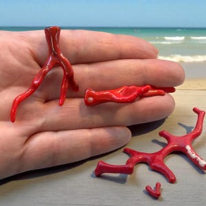以下が含まれることがあります： さまざまな形とサイズの鮮やかな赤色のサンゴのいくつかの部分が、手、ビーチ、海の背景に対して表示されています。 サンゴの破片は磨かれ、光沢のある仕上がりで、白い斑点が見られます。 サンゴの破片は小さくて繊細です。