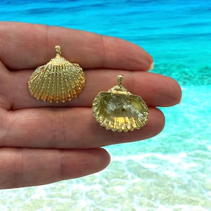 Può includere: Due ciondoli a forma di conchiglia color oro. Uno è chiuso, mostrando una superficie strutturata con un piccolo anello in alto. L'altro è aperto, rivelando i dettagli interni. Lo sfondo è un'immagine sfocata dell'oceano.