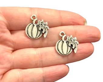 May include: Two small, silver-toned pumpkin charms with attached leaves. Each charm has a loop at the top for stringing. The pumpkins have vertical lines to represent the ridges. These charms are ideal for fall-themed jewelry or craft projects.