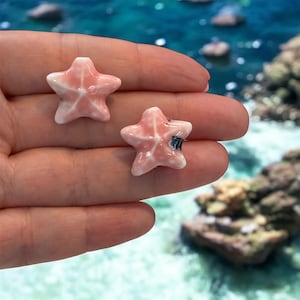 Può includere: Due piccole stelle marine rosa in ceramica con dettagli bianchi. Le stelle marine sono tenute in una mano, con uno sfondo sfocato dell'oceano. Hanno una finitura lucida e sono dettagliate con cinque punte.
