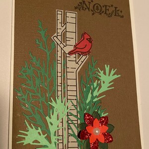 Cardinal de Noël
