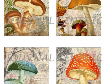Mushroom Medley Digital Journal Add-On Kit