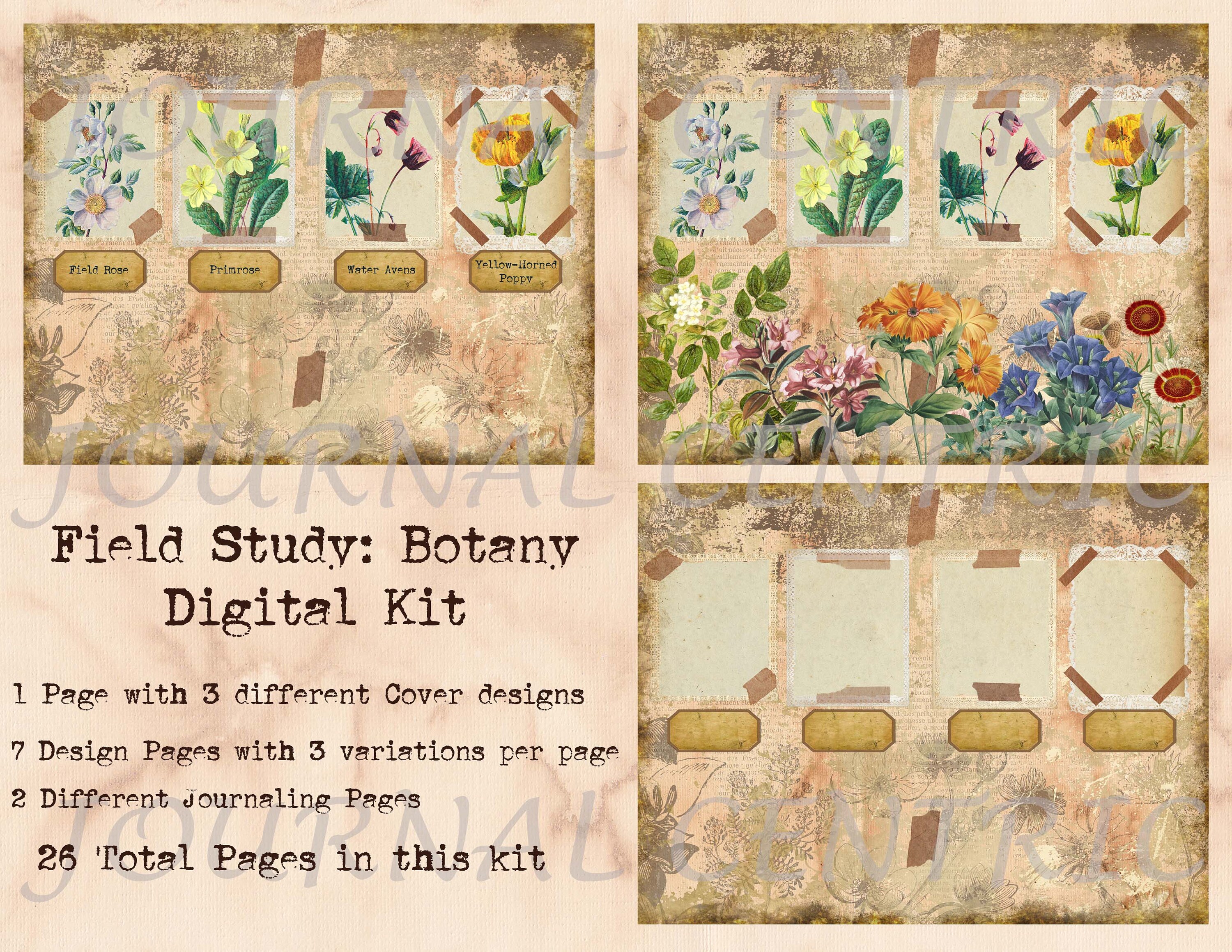 Field Study: Botany Digital Journal Kit 26 Total Pages - Etsy