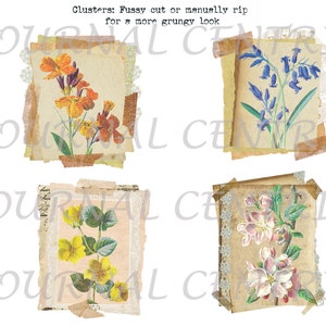 Field Study: Botany Digital Journal Add-On Kit