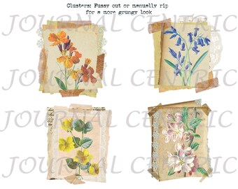 Field Study: Botany Digital Journal Add-On Kit