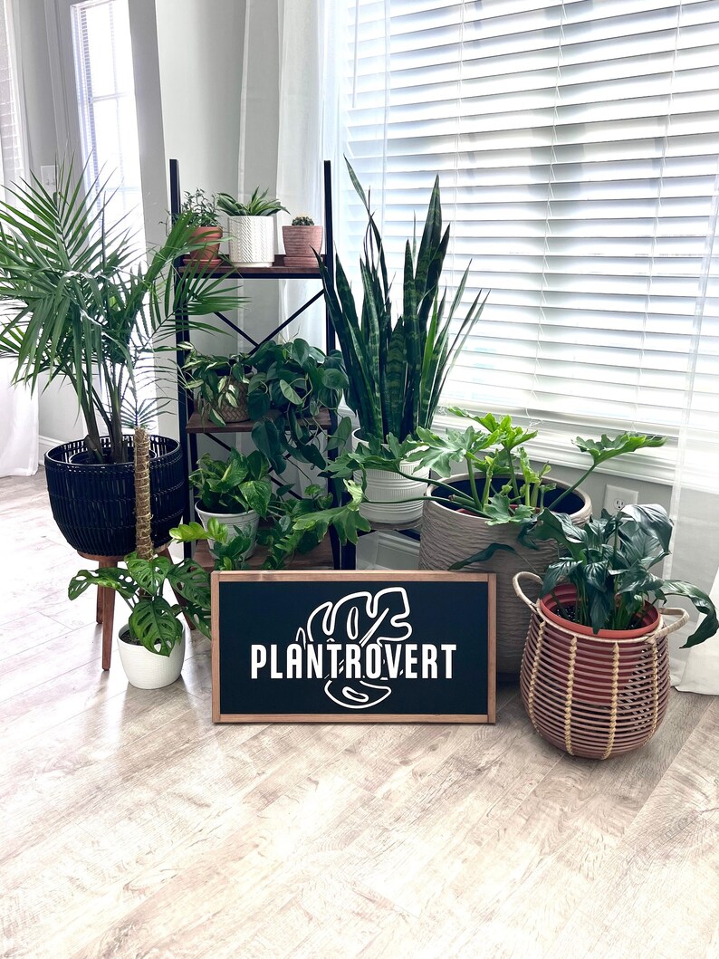 25x13 / Plantrovert Wood Sign / Monstera Deliciosa / Plant Room Decor / Houseplant Wall Art / Boho Decor / Plant Mom / Funny Plant Sign image 1