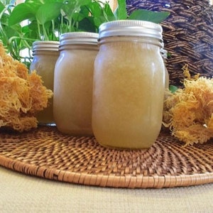 Buy 2 & Get 1 Free!! St. Lucia Sea Moss Special!!! Fast Free Delivery (U.S. Shipped)!!