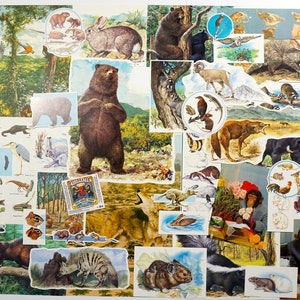 Pacote de coisas efêmeras de animais vintage, recortes de livros para colagem, scrapbooking, kit de diário de flores, papel de rascunho, leões, tigres