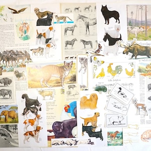 Pacchetto Ephemera vintage: animali, ritagli di libri per collage, scrapbooking, kit di diario spazzatura, lotto di carta di scarto fatta a mano