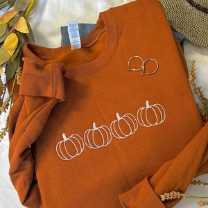 May include: A rust-colored sweatshirt with a white embroidered design of four pumpkins. The sweatshirt has a crew neck and long sleeves.