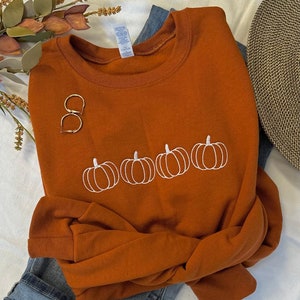 May include: A rust-colored sweatshirt with a row of five white embroidered pumpkins.