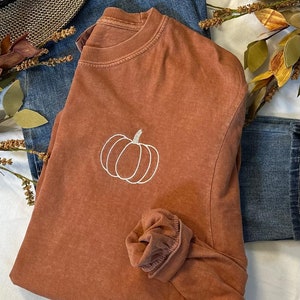 May include: A long-sleeved, rust-colored t-shirt with a white embroidered pumpkin design.