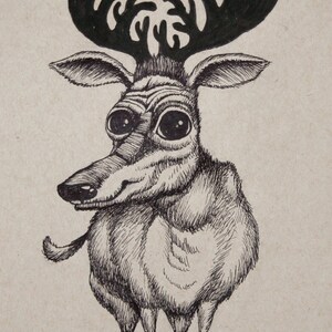Deer
