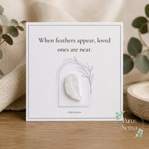 May include: A white square card featuring the black text When feathers appear, loved ones are near. A small, translucent, white feather-shaped object is attached to the centre, framed by a thin grey line drawing of an arch and foliage.