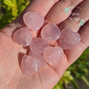 May include: A collection of polished rose quartz hearts in varying sizes. The hearts are a soft pink color and are held in an open hand. The image has a natural, sunlit appearance. The text "Purus Sensa" is in the upper right corner.