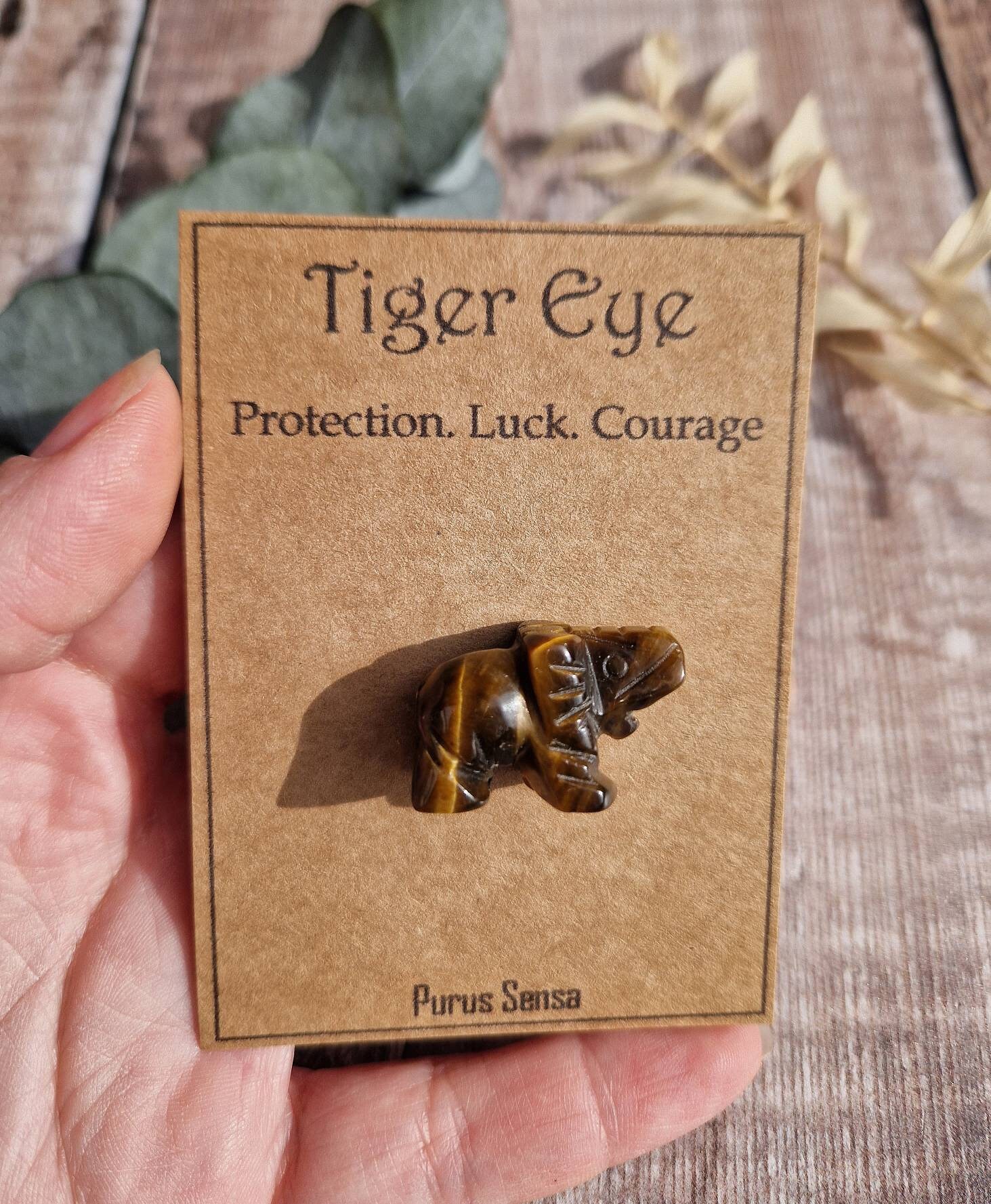 Tigers eye protection discount