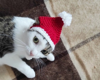 Op de afbeelding: Een kat draagt een rood en witte gehaakte kerstmuts met een witte pompon. De kat heeft groene ogen en ligt op een bruin en beige geruite deken. De hoed is een feestelijk accessoire.