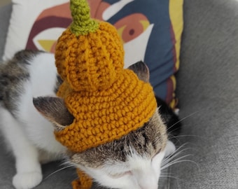 Cute fall pumpkin Cat hat Halloween crochet cat bonnet beanie Cat lovers gift Cats Birthday gift Hat for pets Halloween pet costumes