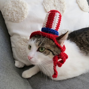 Crochet cat hat Uncle Sam 4th of July Cat Accessory Cat lovers gift Independence Day Photo Prop pet costumes Beanie for cat