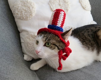 Crochet cat hat Uncle Sam 4th of July Cat Accessory Cat lovers gift Independence Day Photo Prop pet costumes Beanie for cat