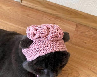 Zombie Brain hat for cat Halloween pet costume Cats Birthday gift Crochet Hat for pets Photo prop Cat lovers gift  Beanie for cat