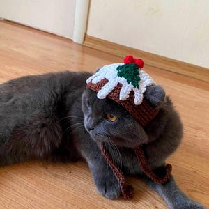 Può includere: Un gatto grigio con un cappello da budino di Natale all'uncinetto. Il cappello presenta dettagli marroni, bianchi, verdi e rossi, con lacci marroni. Il gatto è sdraiato su un pavimento di legno.