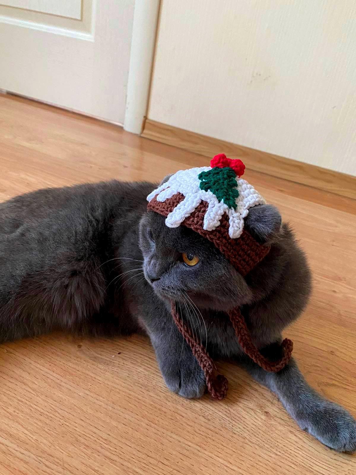 猫の帽子 ボンネット ブルー ボンネット帽子の甘い猫ちゃん