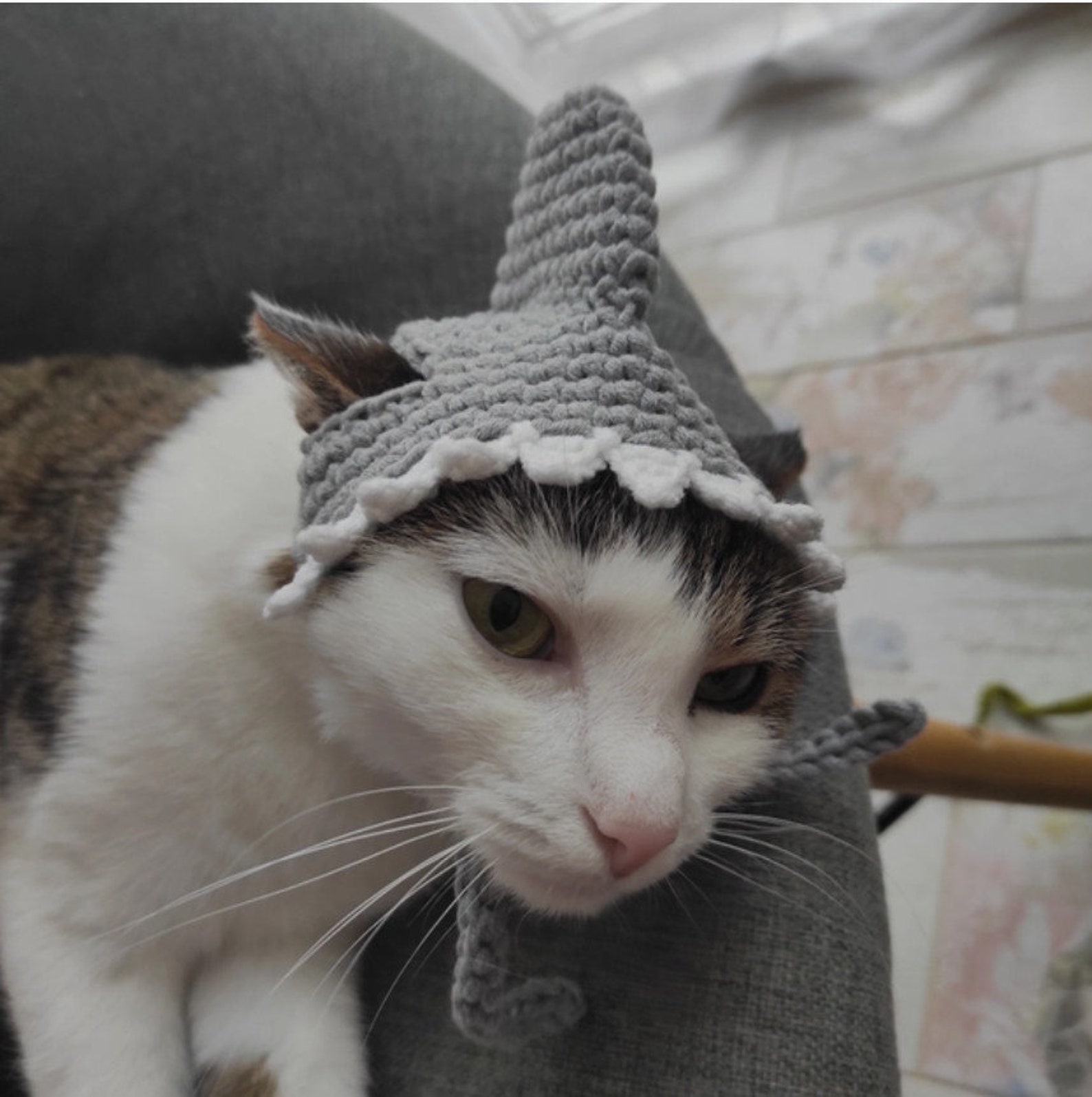 Shark Hat for Cat Cats Birthday Gift Crochet Hat for Pets Photo Prop ...